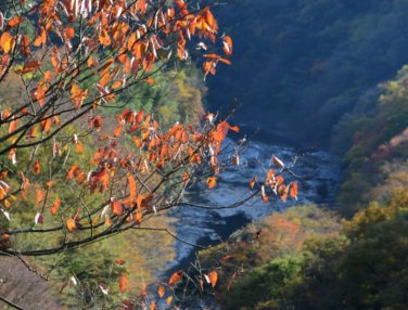 ツーリングで渓谷の紅葉を楽しむ